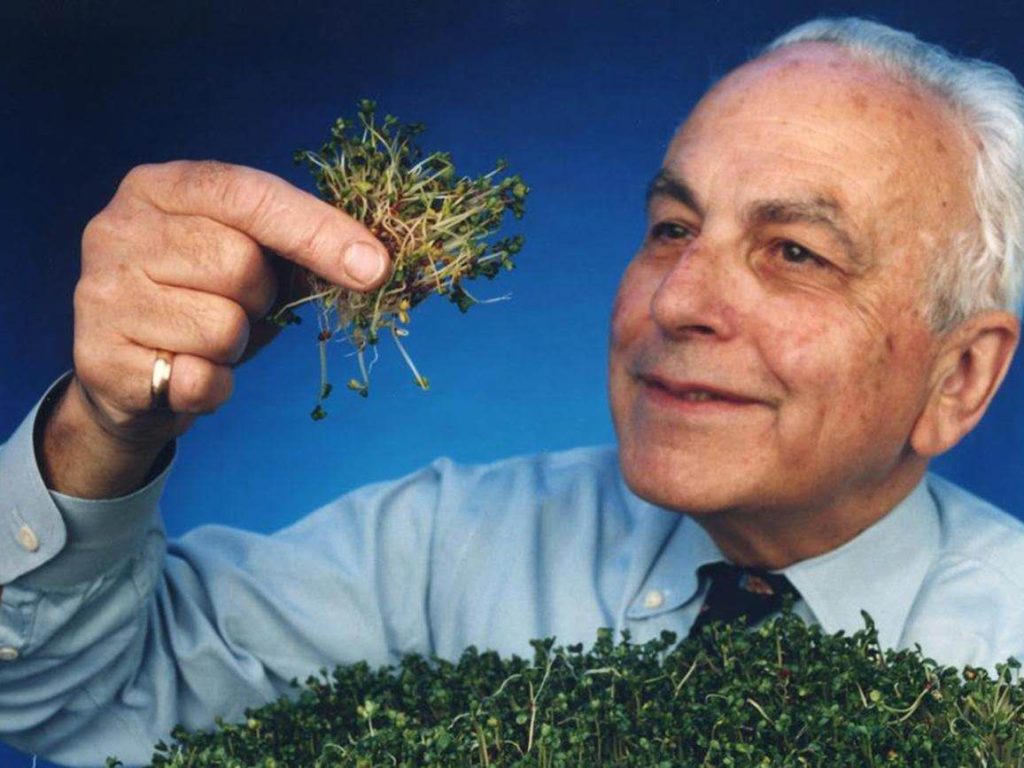 科普知识：萝卜硫素特点