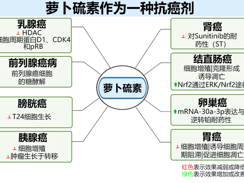 萝卜硫素的科学研究